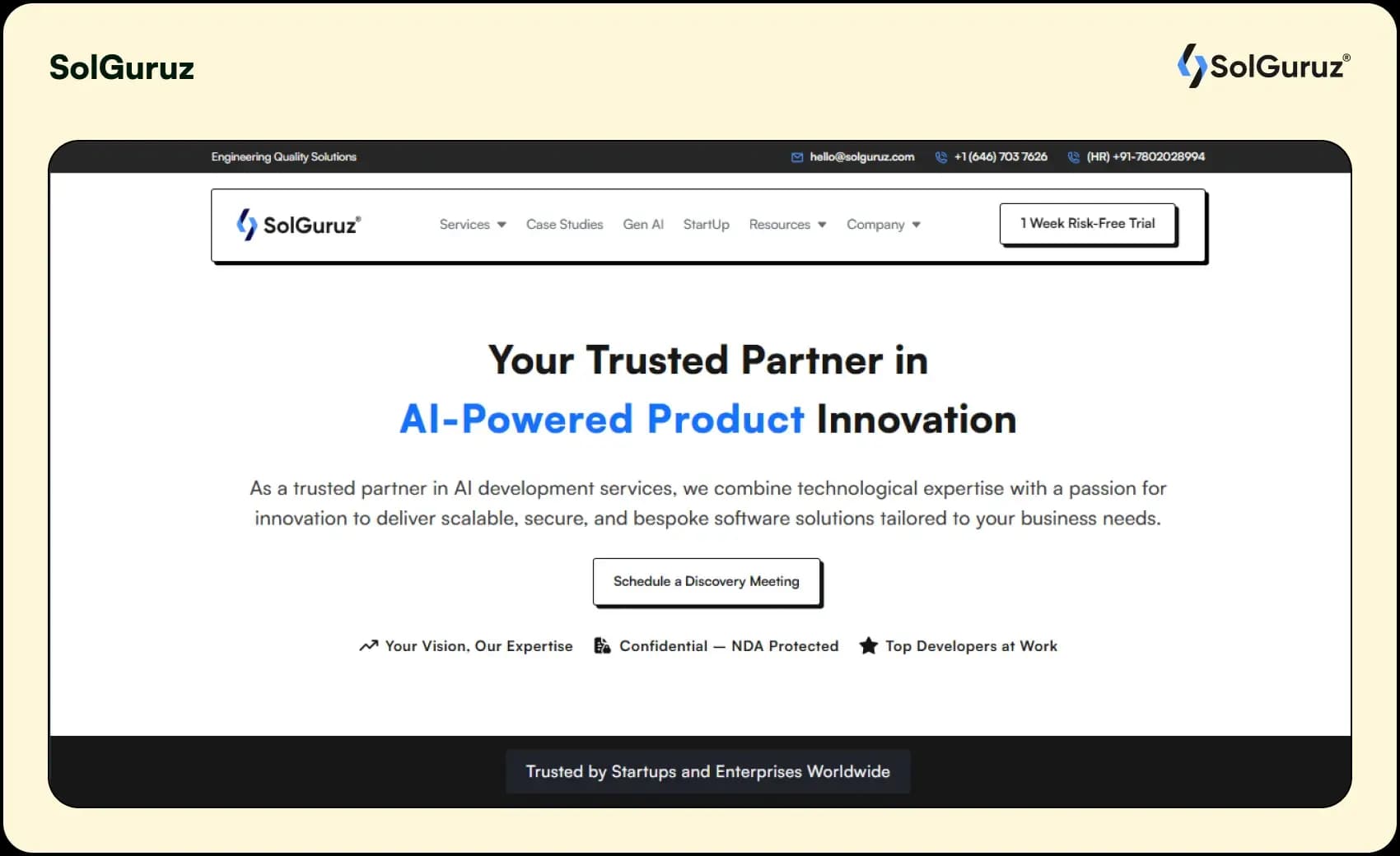 solguruz cms development company