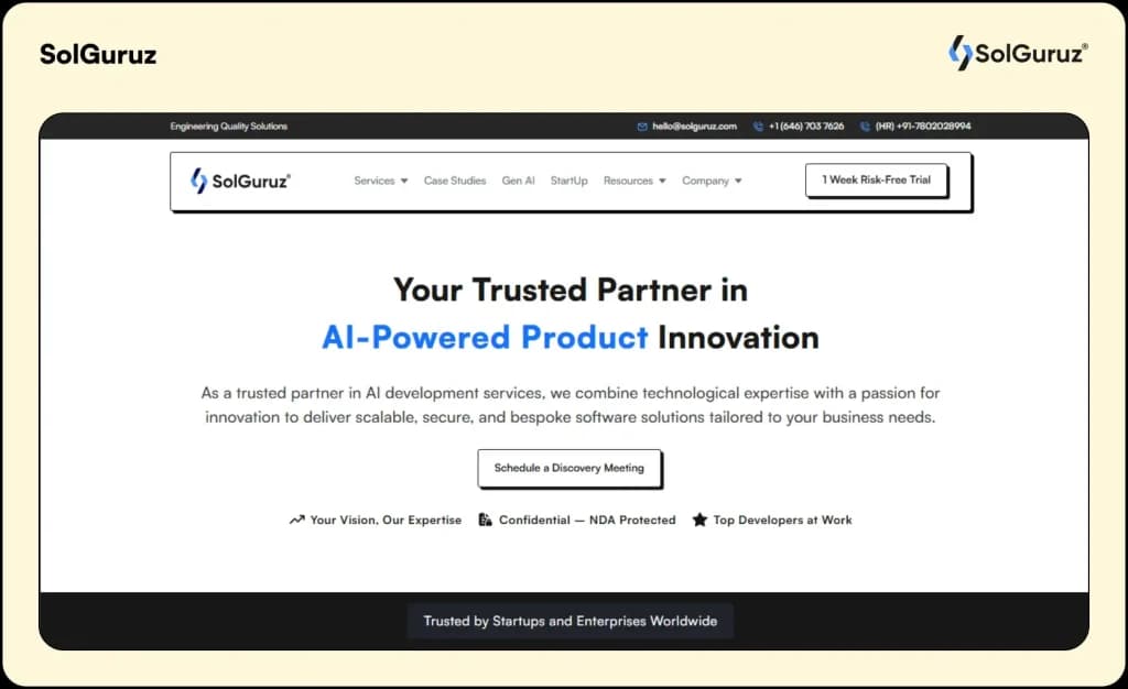 Solguruz-Web Development Company