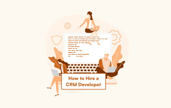 CRM Developer Skills