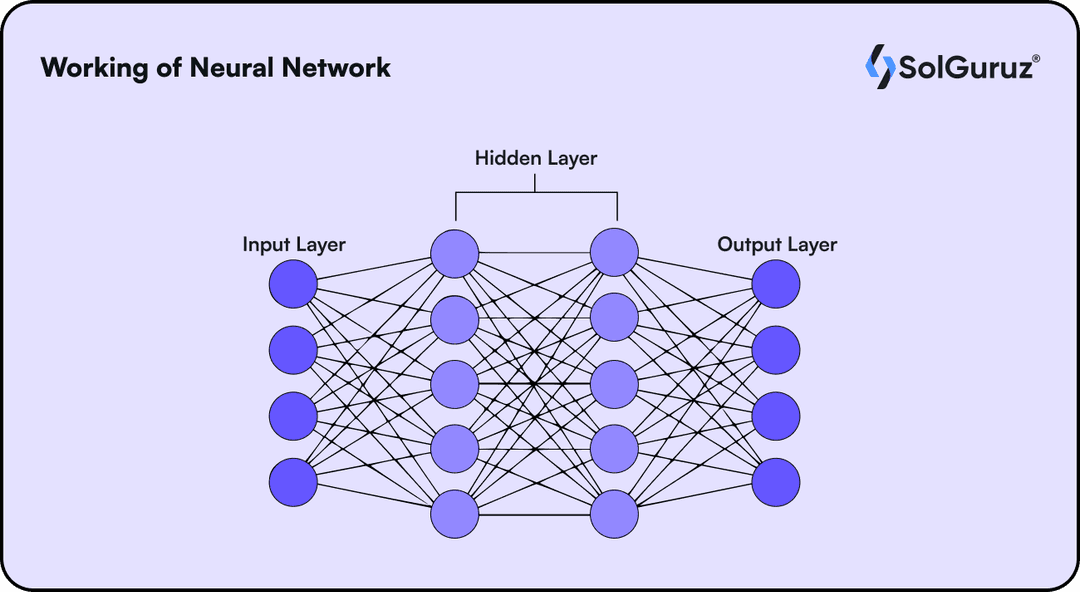 Working of Neural Network