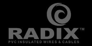 Our client - Radix