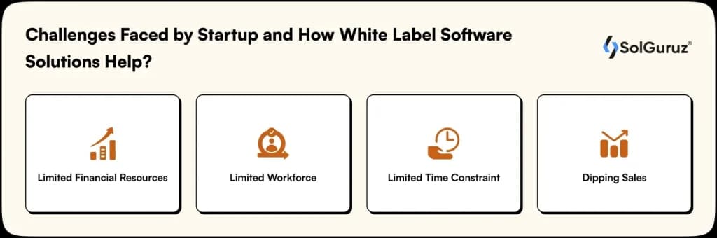 key startup challenges addressed by white label software solutions for cost efficiency and rapid product development.