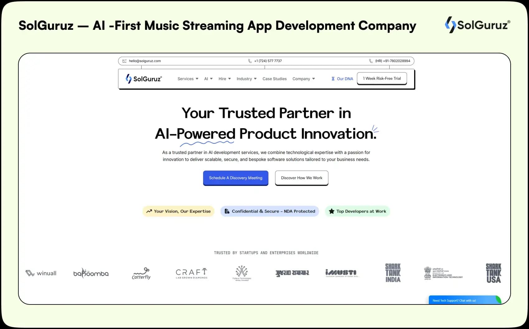 solguruz ai first music streaming app development company