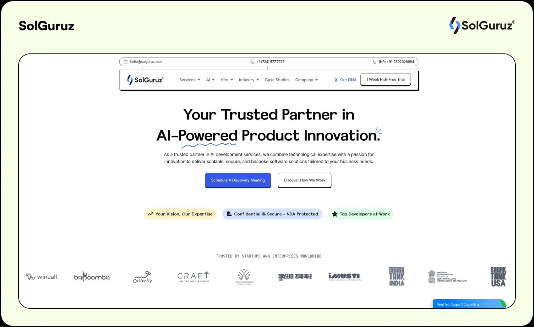 best offshore development company solguruz