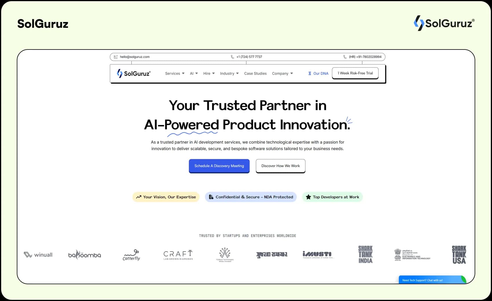 solguruz best software outsourcing company