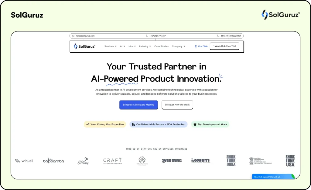 solguruz bnpl app development company