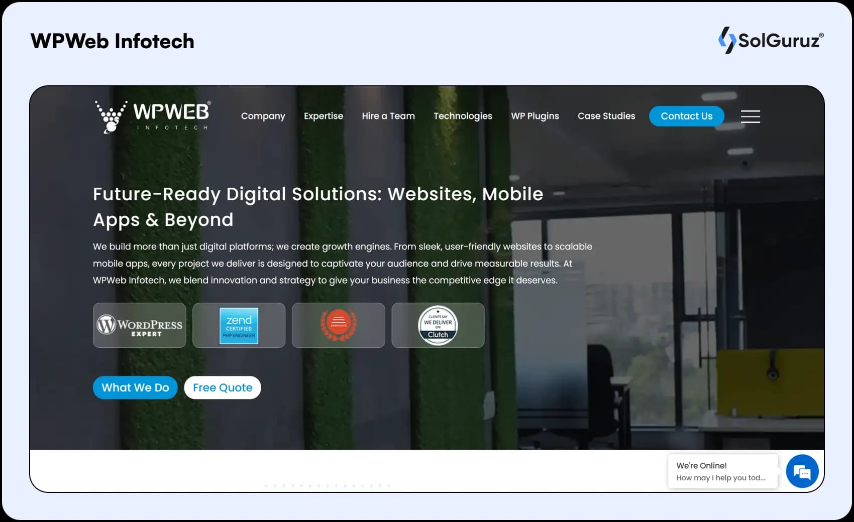 wpweb infotech