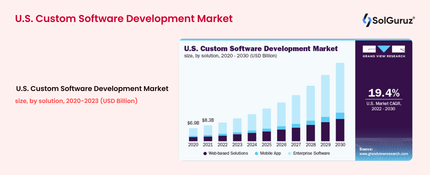 USA Custom Software Development Market